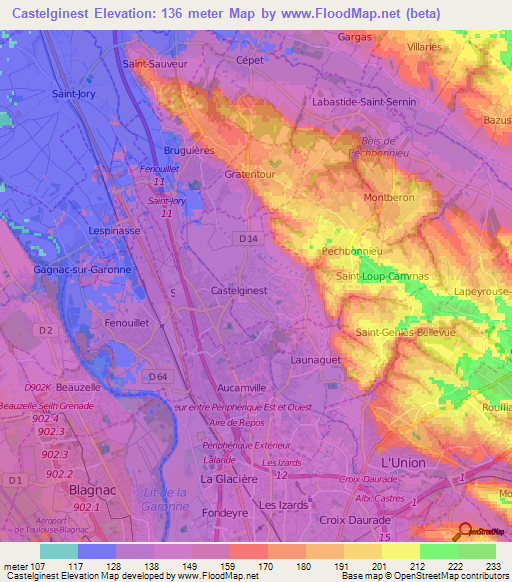 Castelginest,France Elevation Map