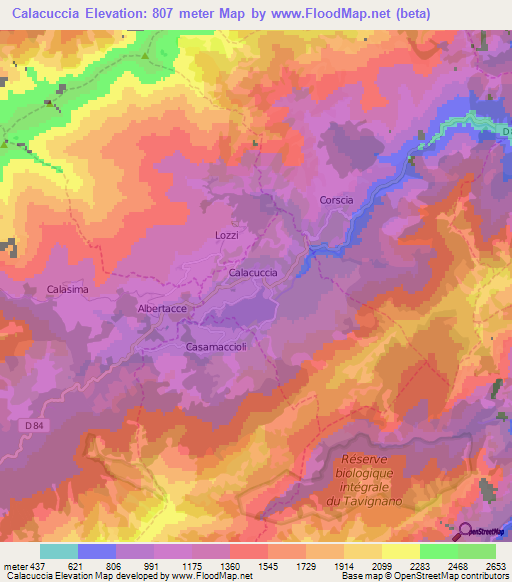 Calacuccia,France Elevation Map