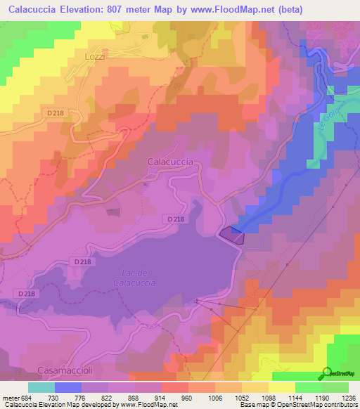 Calacuccia,France Elevation Map