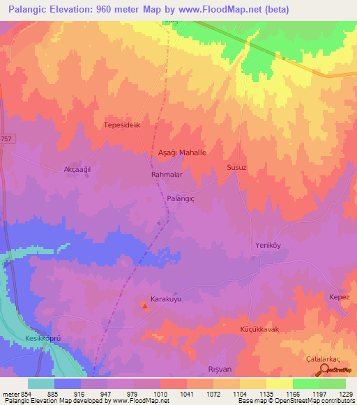 Palangic,Turkey Elevation Map