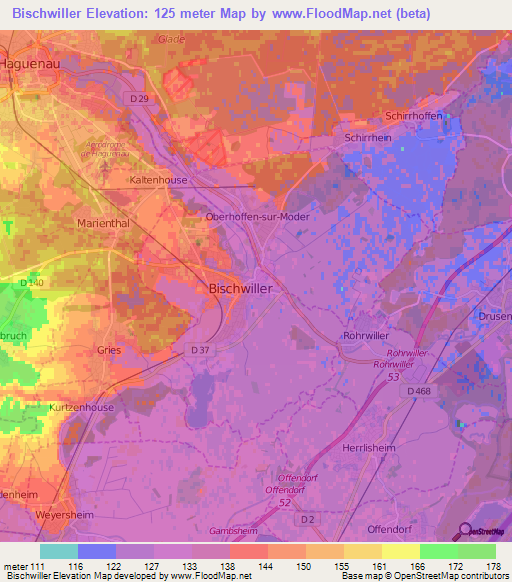 Bischwiller,France Elevation Map