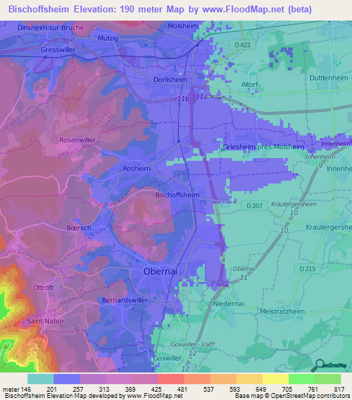 Bischoffsheim,France Elevation Map