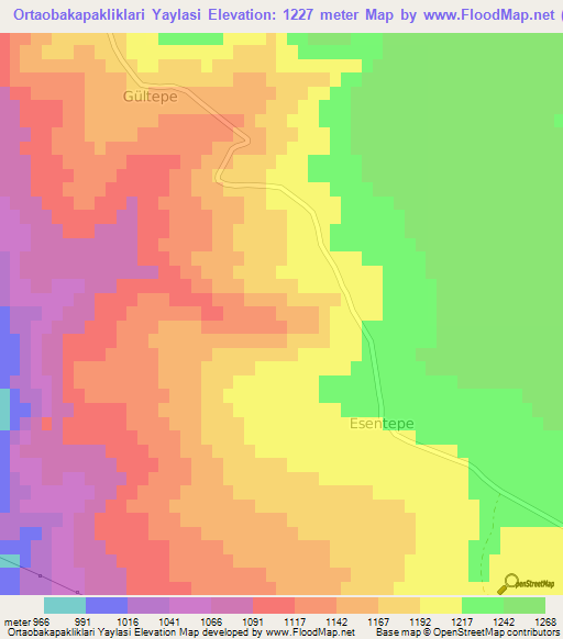 Ortaobakapakliklari Yaylasi,Turkey Elevation Map