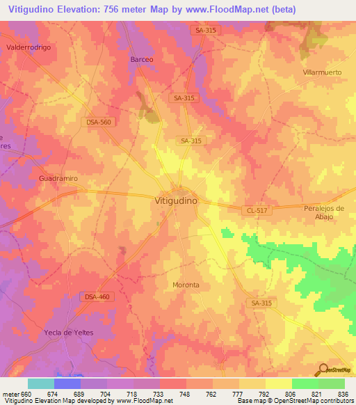 Vitigudino,Spain Elevation Map