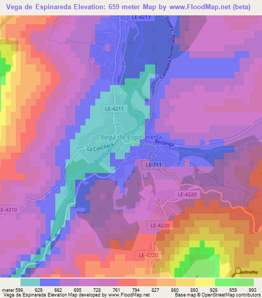 Vega de Espinareda,Spain Elevation Map