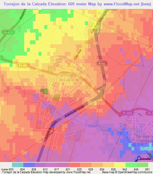 Torrejon de la Calzada,Spain Elevation Map