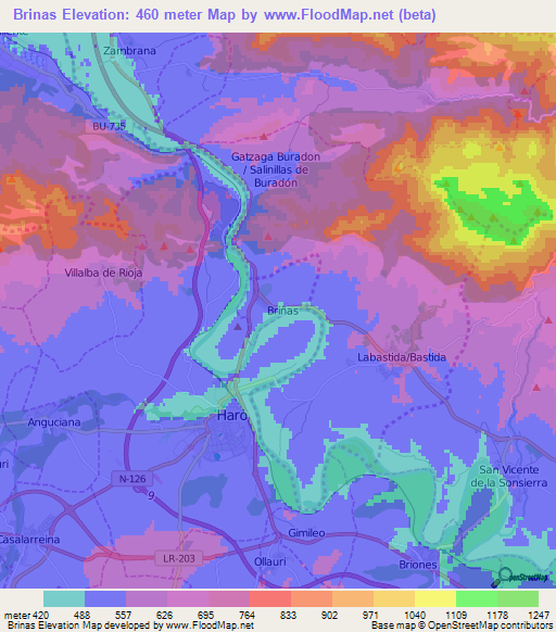 Brinas,Spain Elevation Map