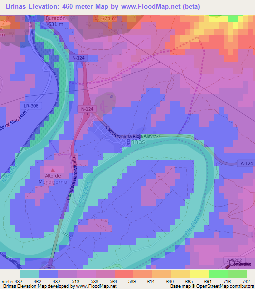 Brinas,Spain Elevation Map