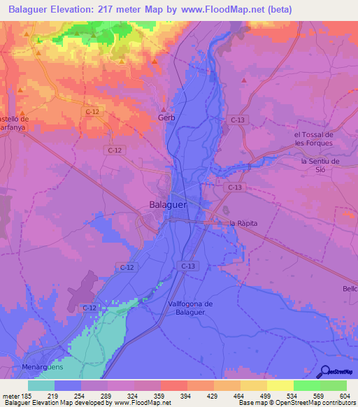 Balaguer,Spain Elevation Map