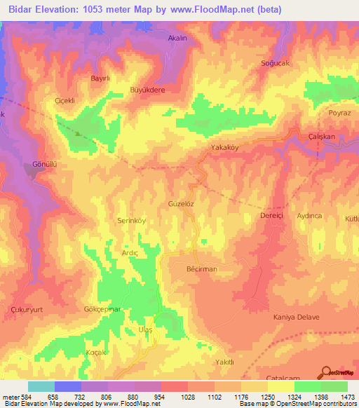 Bidar,Turkey Elevation Map