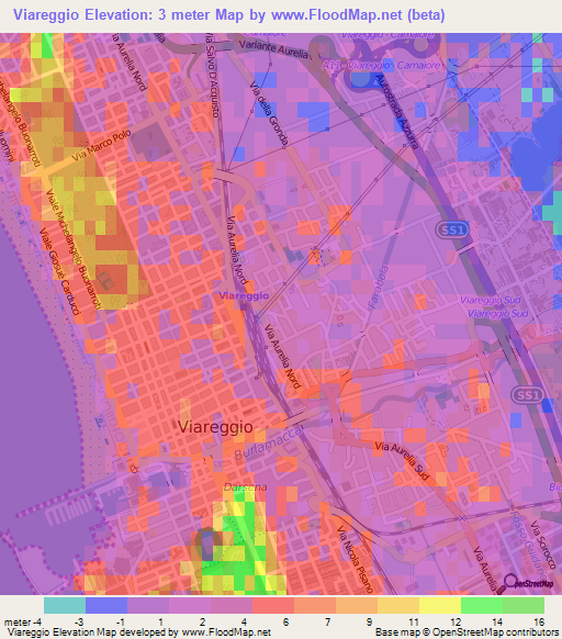 Viareggio,Italy Elevation Map