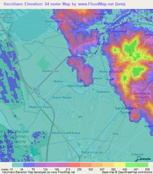 Vecchiano,Italy Elevation Map