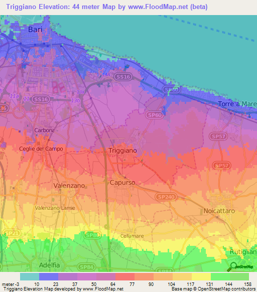 Triggiano,Italy Elevation Map