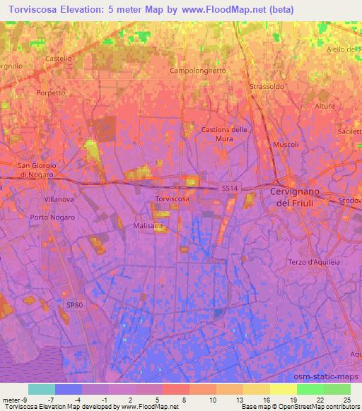 Torviscosa,Italy Elevation Map