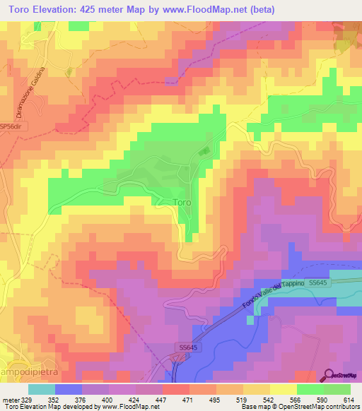 Toro,Italy Elevation Map