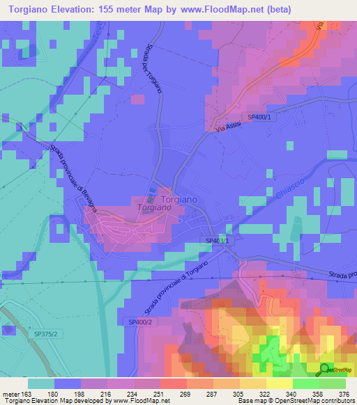 Torgiano,Italy Elevation Map