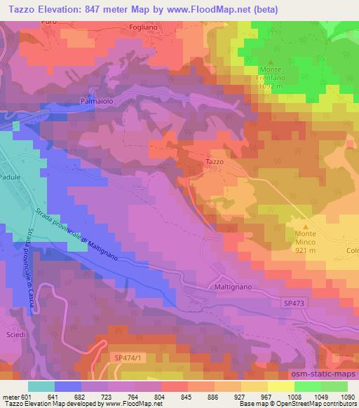 Tazzo,Italy Elevation Map