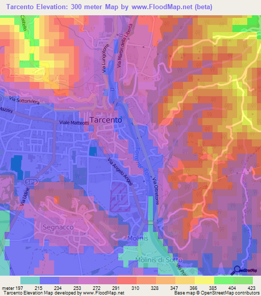 Tarcento,Italy Elevation Map