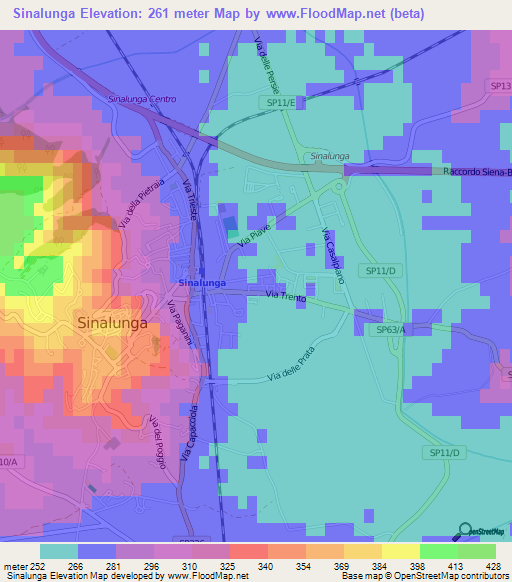 Sinalunga,Italy Elevation Map