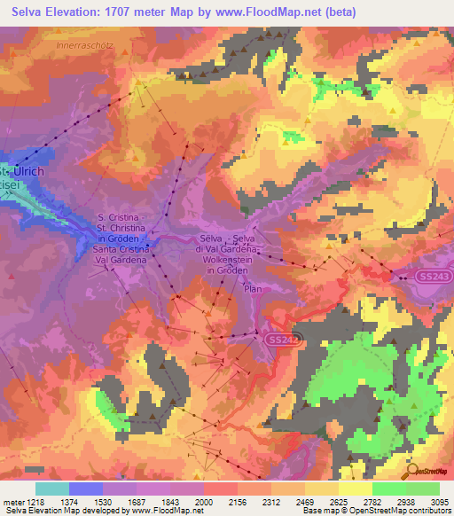 Selva,Italy Elevation Map