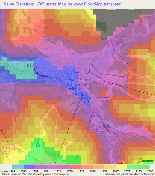 Selva,Italy Elevation Map