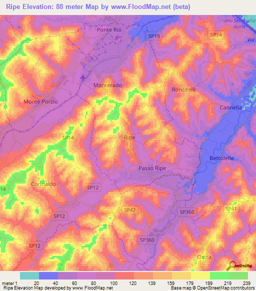 Ripe,Italy Elevation Map