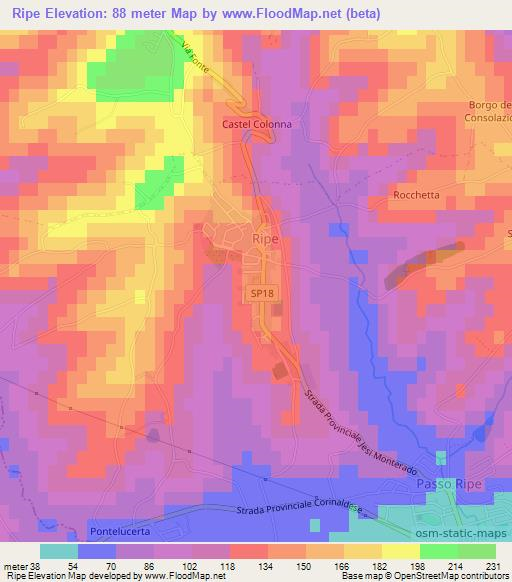 Ripe,Italy Elevation Map