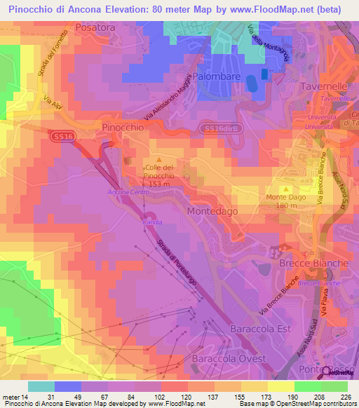 Pinocchio di Ancona,Italy Elevation Map