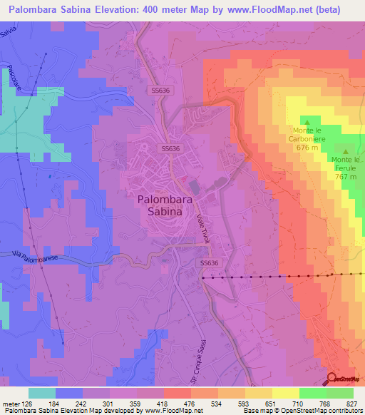 Palombara Sabina,Italy Elevation Map