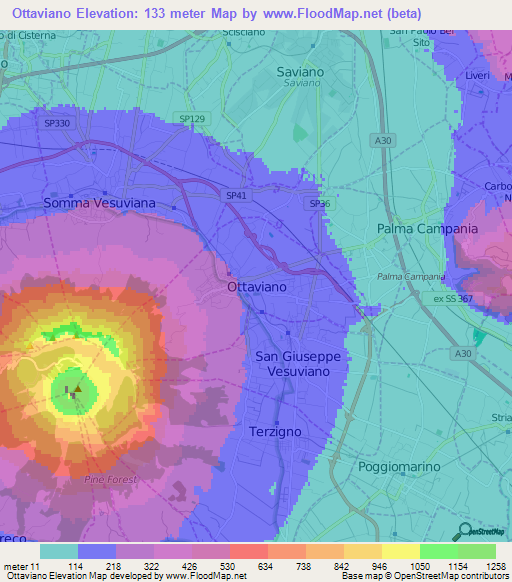 Ottaviano,Italy Elevation Map