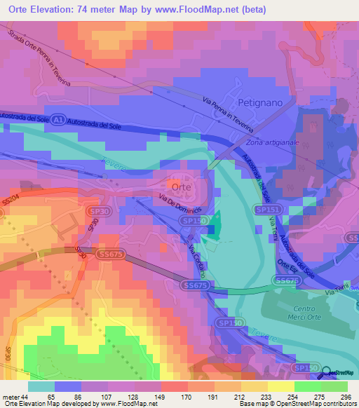 Orte,Italy Elevation Map