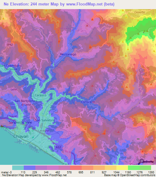 Ne,Italy Elevation Map