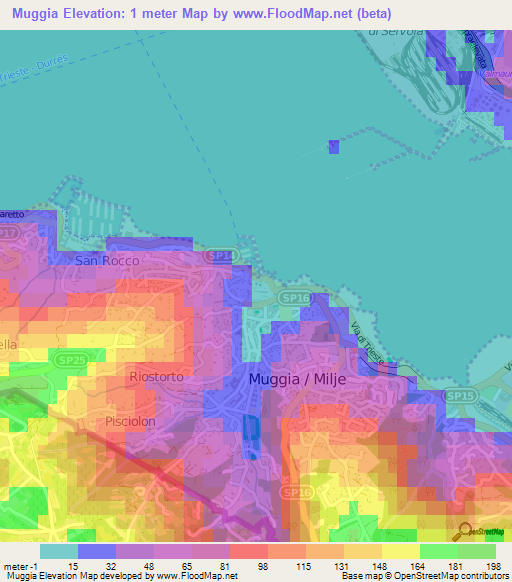 Muggia,Italy Elevation Map