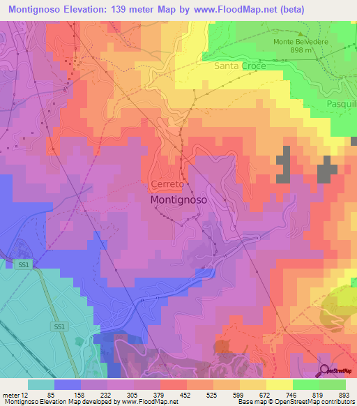 Montignoso,Italy Elevation Map