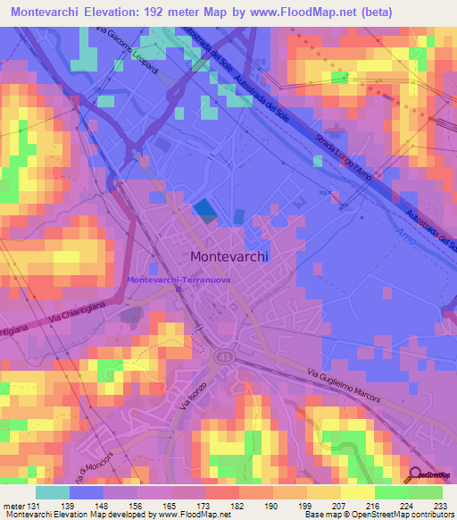 Montevarchi,Italy Elevation Map