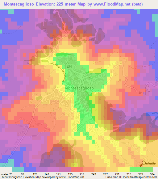 Montescaglioso,Italy Elevation Map