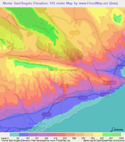 Monte Sant'Angelo,Italy Elevation Map