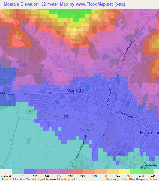 Montale,Italy Elevation Map