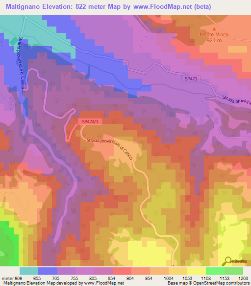 Maltignano,Italy Elevation Map