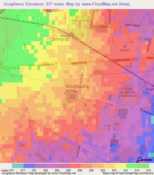 Grugliasco,Italy Elevation Map