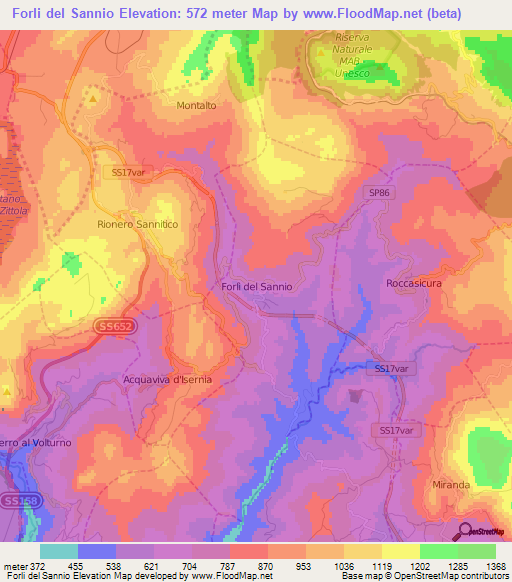 Forli del Sannio,Italy Elevation Map