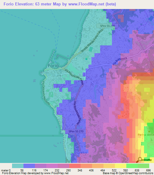 Forio,Italy Elevation Map