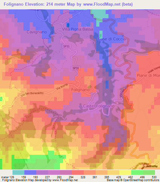 Folignano,Italy Elevation Map