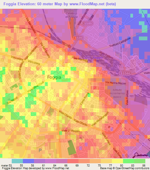 Foggia,Italy Elevation Map