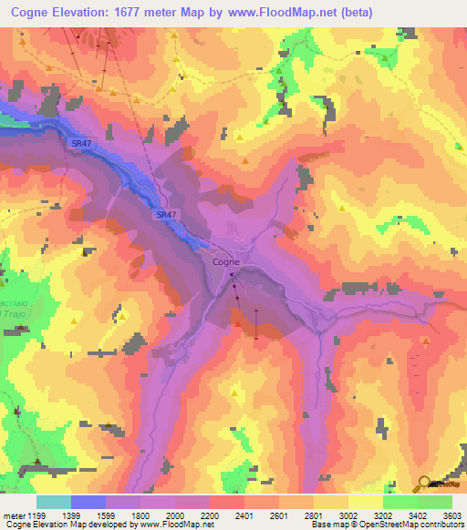 Cogne,Italy Elevation Map