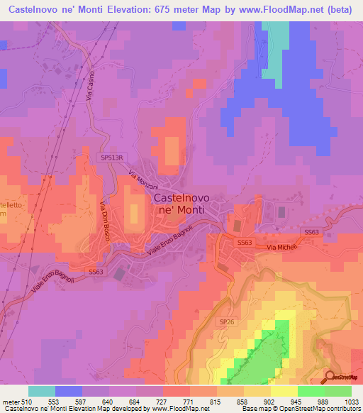 Castelnovo ne' Monti,Italy Elevation Map