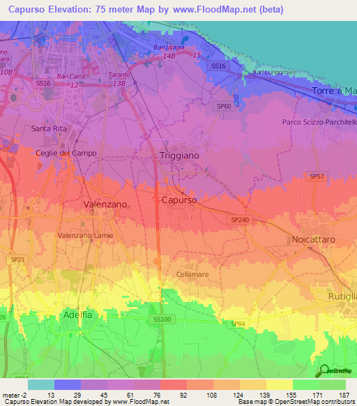 Capurso,Italy Elevation Map