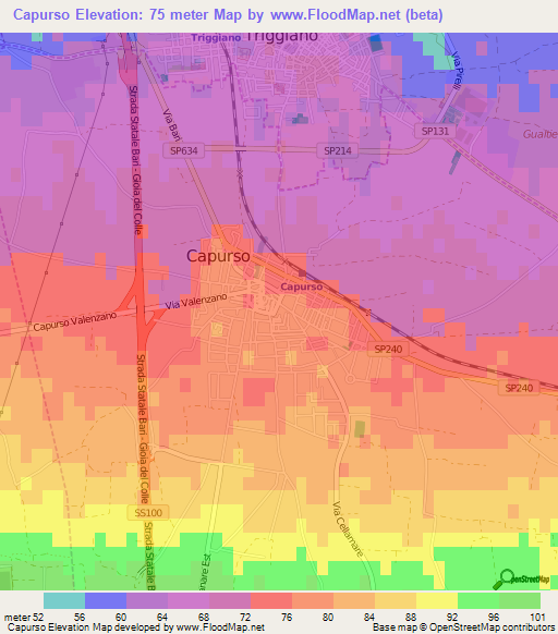 Capurso,Italy Elevation Map