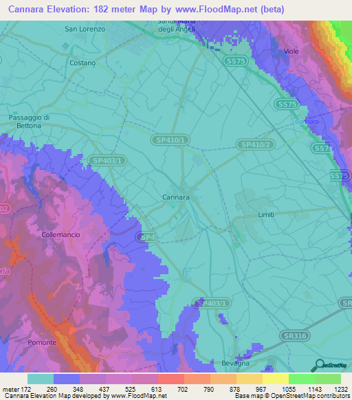 Cannara,Italy Elevation Map