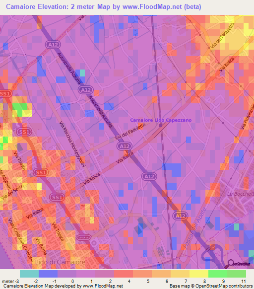 Camaiore,Italy Elevation Map